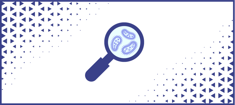 rs131877_rs92462_template_lms_cover2_27150859